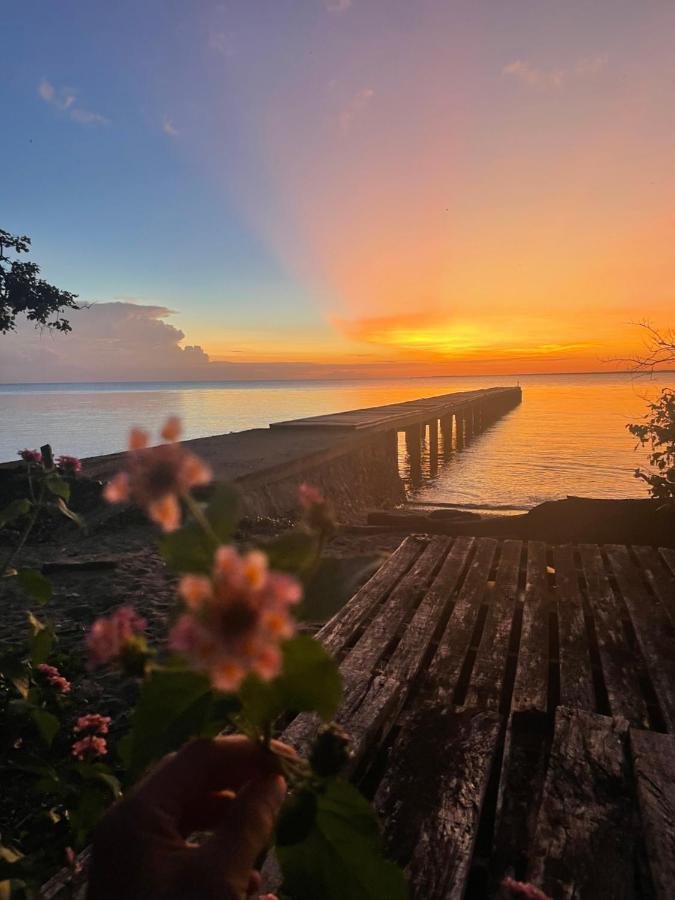 Blue Emocean Dive Resort Moyo Island 外观 照片